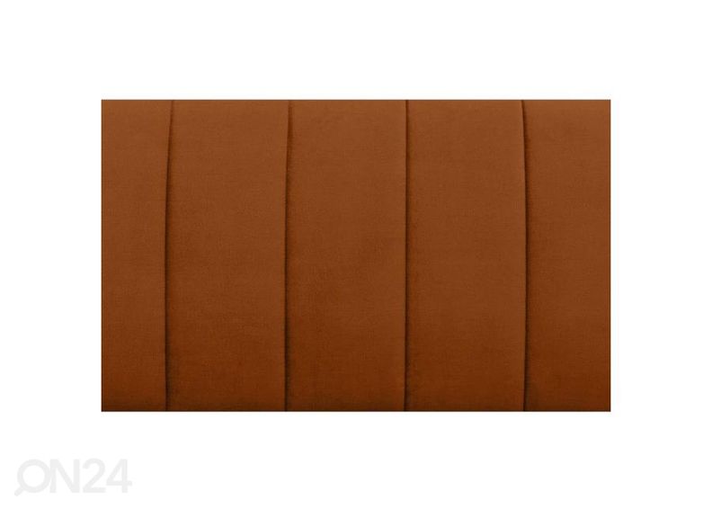 Vuodesohva Bariss kuvasuurennos