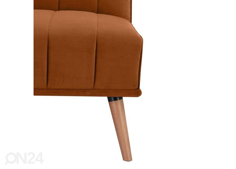 Vuodesohva Bariss kuvasuurennos