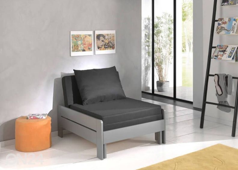 Vuodetuoli Pino kuvasuurennos