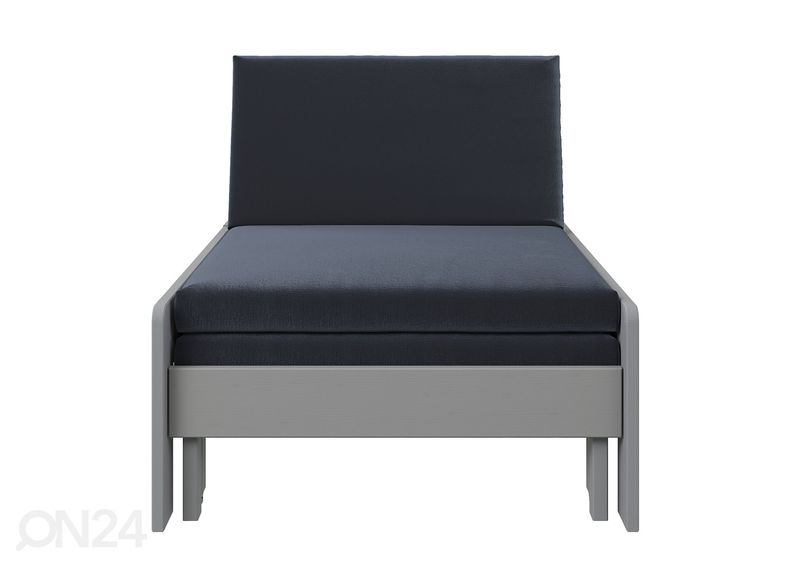 Vuodetuoli Robin kuvasuurennos