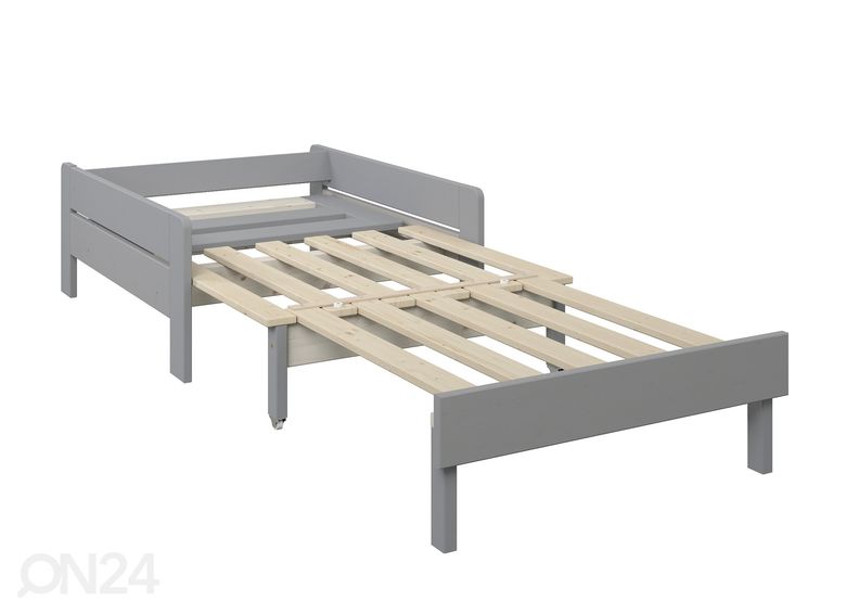 Vuodetuoli Robin kuvasuurennos