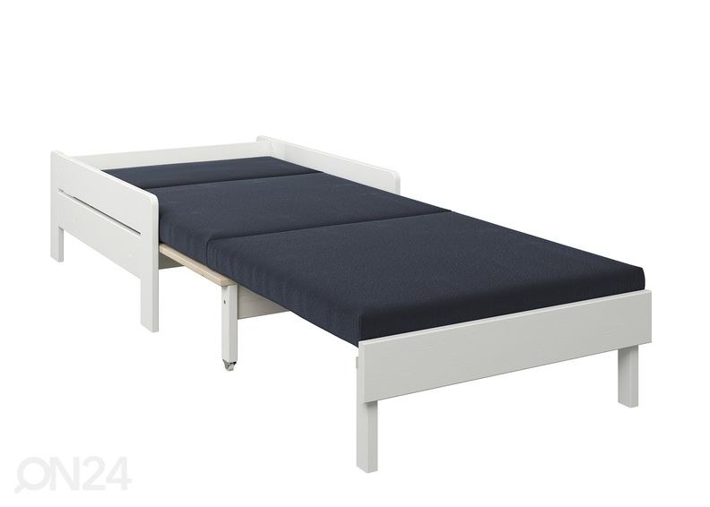 Vuodetuoli Robin kuvasuurennos