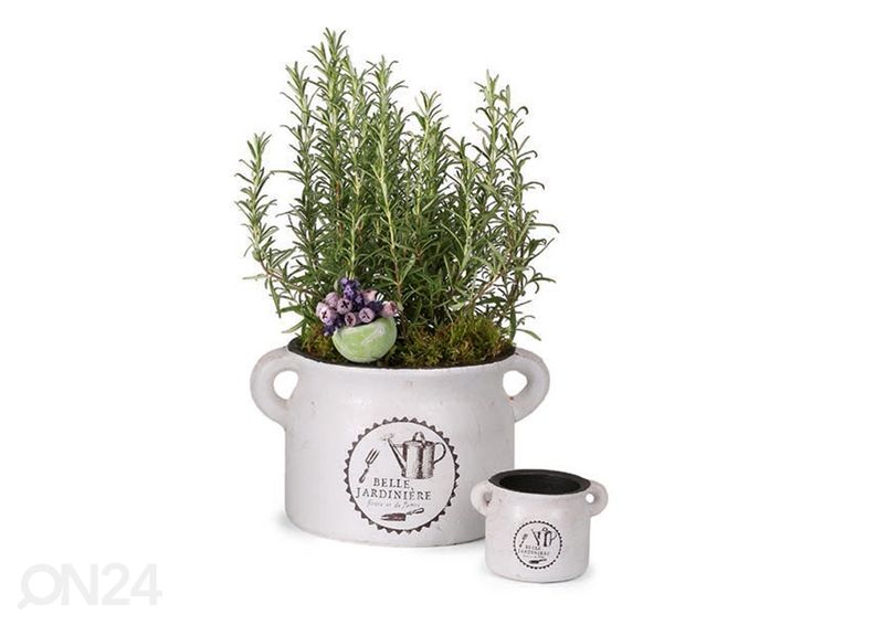 Yrttiruukku BELLE JARDINIERE 15,5 cm kuvasuurennos