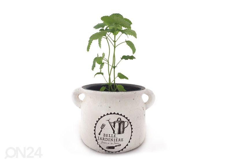 Yrttiruukku BELLE JARDINIERE 15,5 cm kuvasuurennos