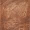 Pähkinä/Walnut