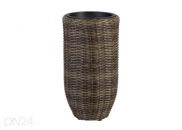 Suojaruukku WICKER