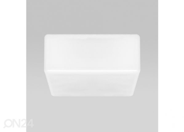 Plafondi Blank