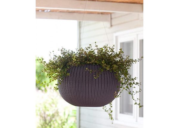 Amppeli Keter Cozy M