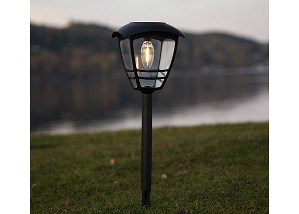 Aurinkokennovalaisin