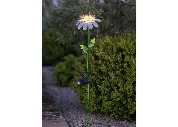 Aurinkokennovalaisin Daisy