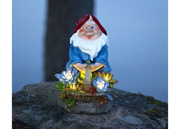Aurinkokennovalaisin Gnomy