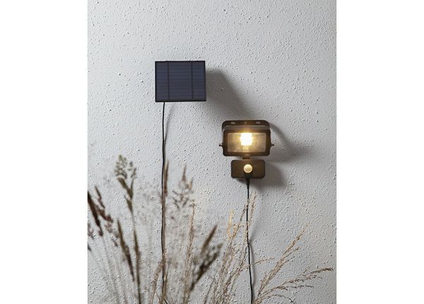 Aurinkokennovalaisin Spotlight