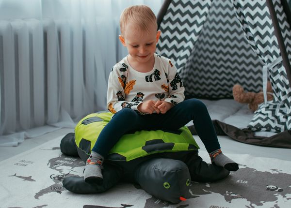 Istuintyyny Kilpikonna