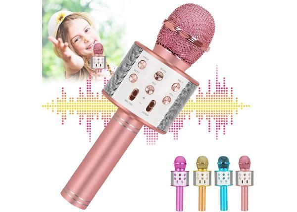 Karaoke mikrofoni Gerardo's Toys