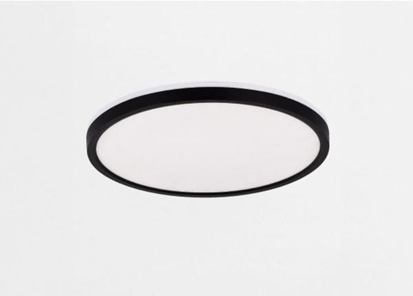 Kattoplafondi Bove 50