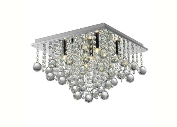 Kattovalaisin Rangel