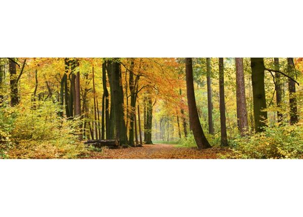 Keittiön välitila Autumn Forest
