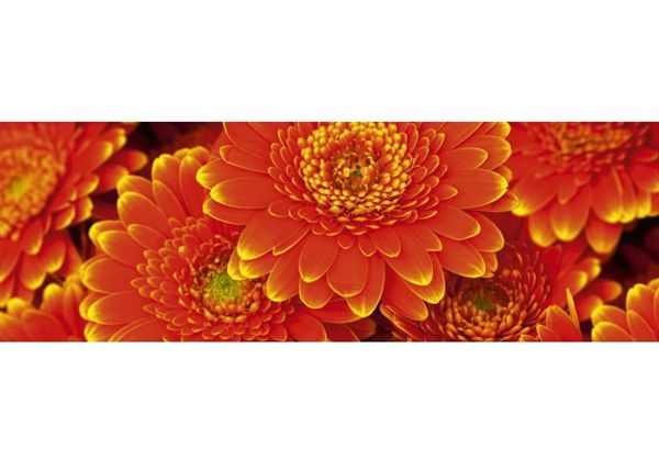 Keittiön välitila Gerbera