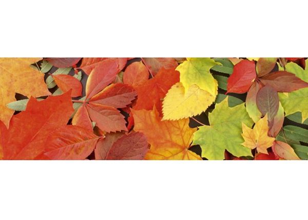 Keittiön välitila Leaves
