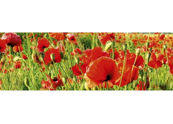 Keittiön välitila Red poppies