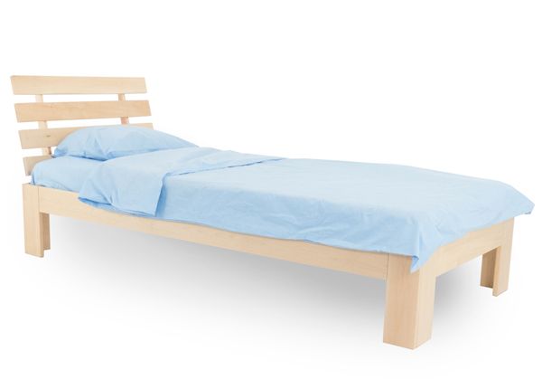 Koivusänky