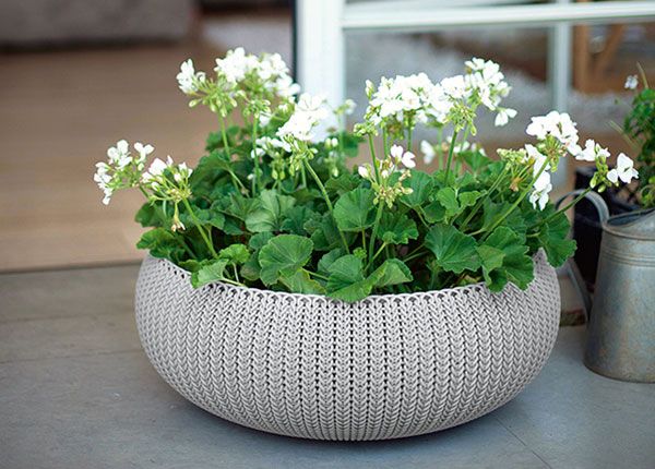 Kukkaruukku Keter Cozy L