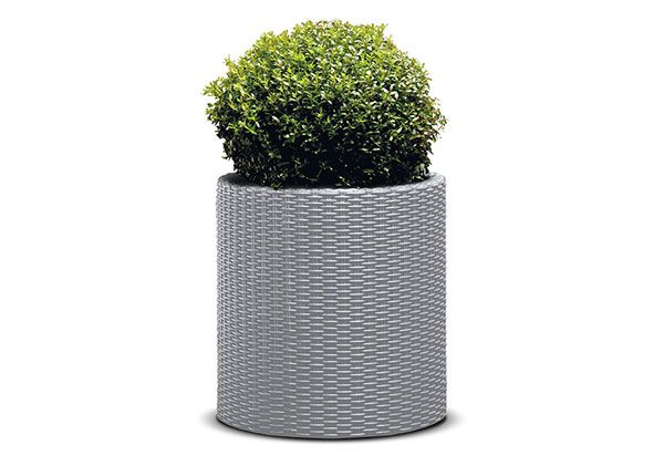 Kukkaruukku Keter Cylinder L