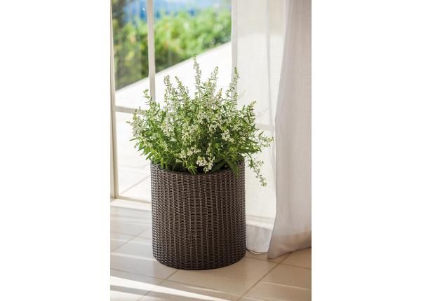 Kukkaruukku Keter Cylinder S, ruskea