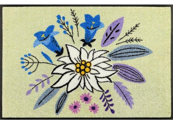 Kynnysmatto Gipfelgarten 50x75 cm