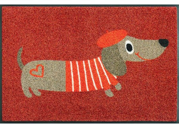 Kynnysmatto Monsieur Chien, 50x75 cm