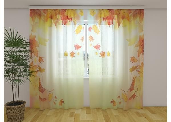 Läpinäkyvä kuvaverho Autumn Falling Leaves 240x220 cm