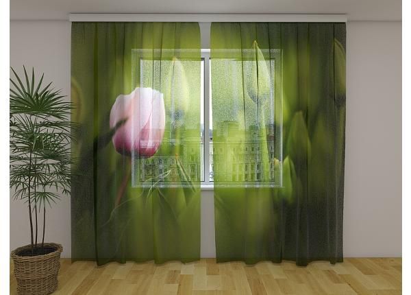 Läpinäkyvä kuvaverho First Pink Tulip 240x220 cm