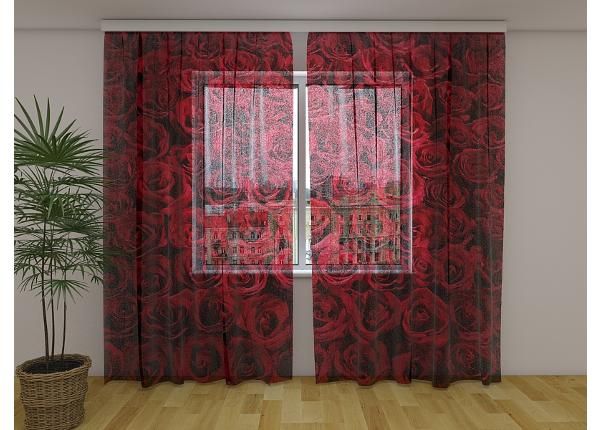 Läpinäkyvä kuvaverho Lovely Red Roses 240x220 cm