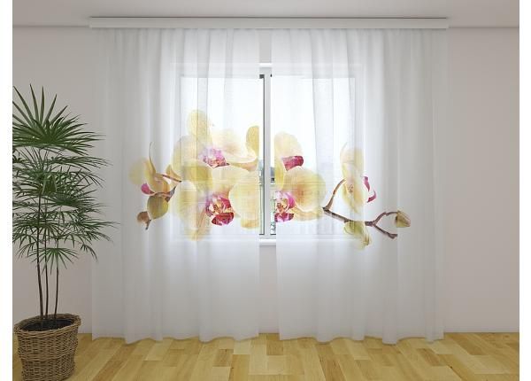 Läpinäkyvä kuvaverho olden Orchid on White 240x220 cm