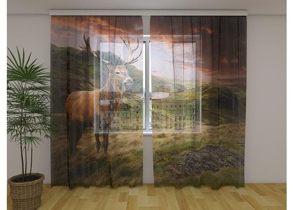 Läpinäkyvä kuvaverho Red Deer at Sunset 240x220 cm