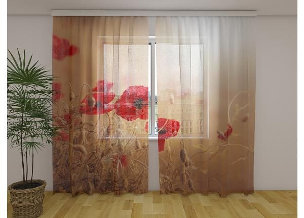 Läpinäkyvä kuvaverho Red Poppies in Golden Wheat 240x220 cm