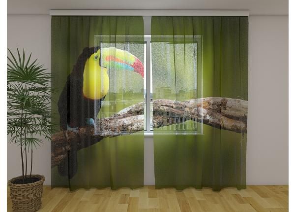 Läpinäkyvä kuvaverho Toucan on the Branch 240x220 cm