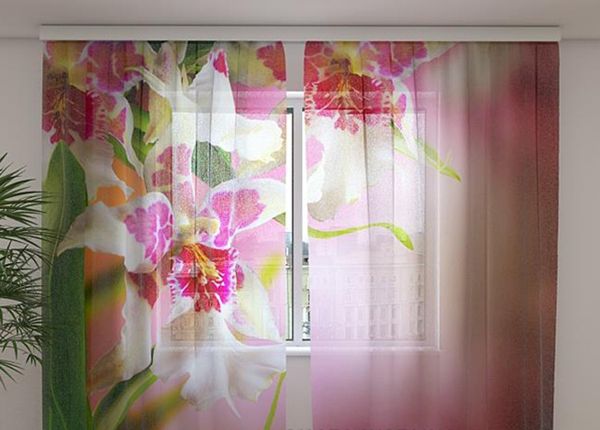 Läpinäkyvä verho Mottle orchids1, 240x220 cm