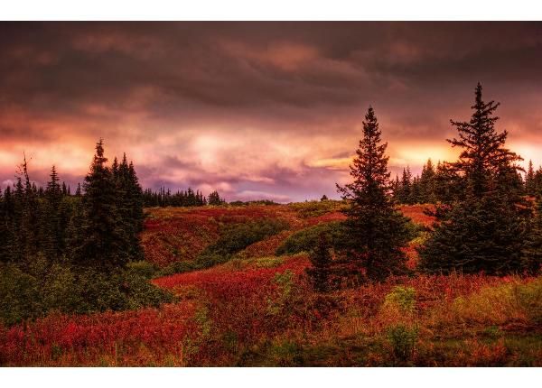 Non-woven kuvatapetti Alaska Sunset