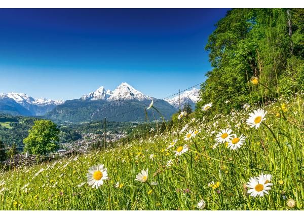 Non-woven kuvatapetti Alpine Landscape