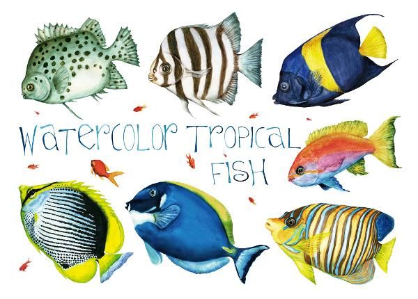 Non-woven kuvatapetti Beige Tropical Fishes