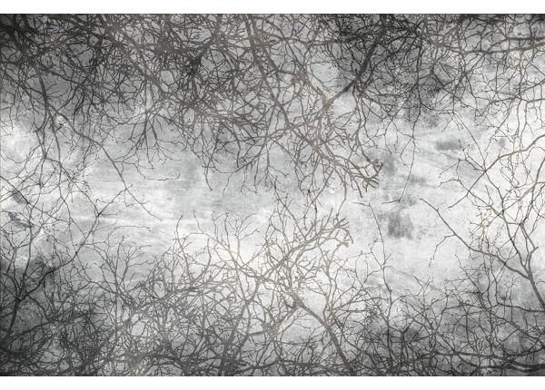 Non-woven kuvatapetti Branch Abstract