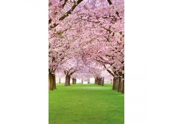 Non-woven kuvatapetti Cherry trees