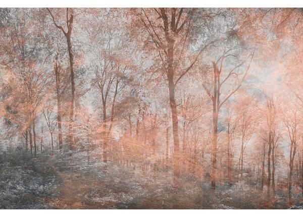 Non-woven kuvatapetti Colorful Forest Abstract