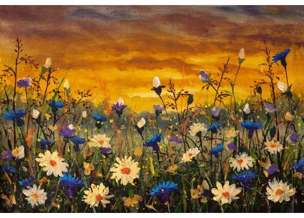 Non-woven kuvatapetti Daisies And Blue Cornflowers