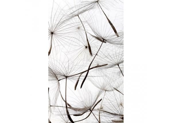 Non-woven kuvatapetti Dandelion seeds