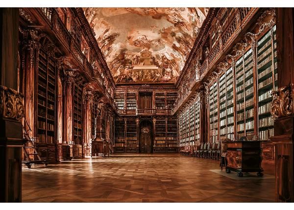 Non-woven kuvatapetti Empty Library Background