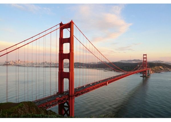 Non-woven kuvatapetti Golden gate