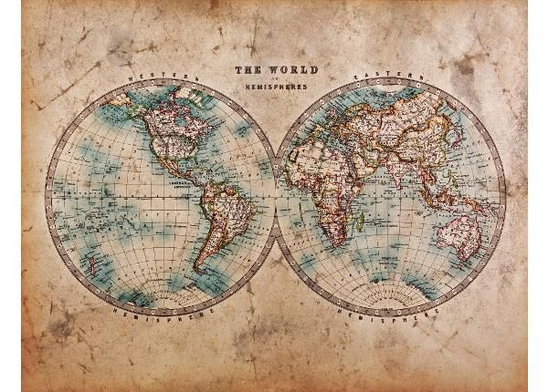 Non-woven kuvatapetti Hemispheres Of Earth