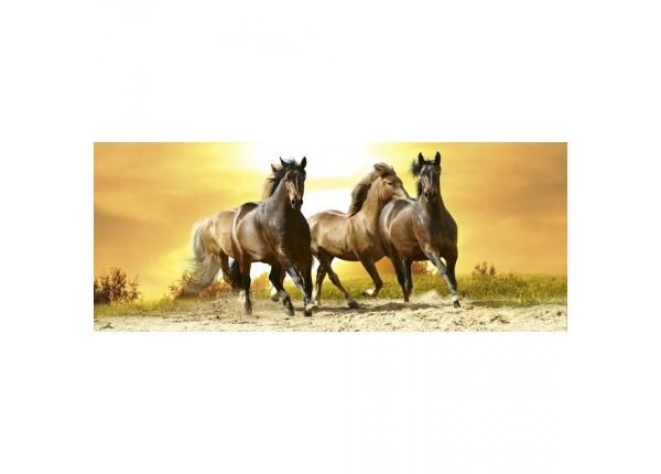 Non-woven kuvatapetti Horses in sunset